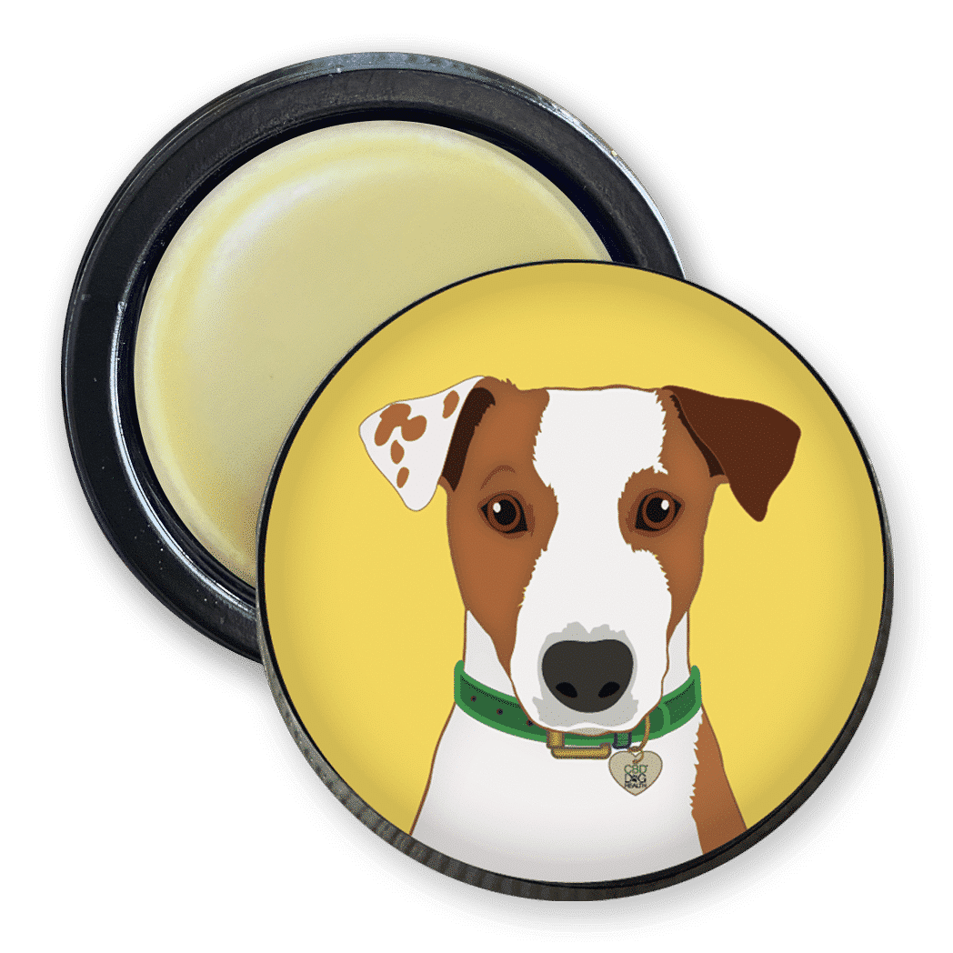 SOOTHE for Dogs Crafted with Full Spectrum Hemp Extract, manuka honey, ginger, and arnica, SOOTHE delivers focused relief for dogs with delicate or allergy-sensitive